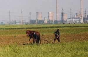 they-still-use-a-horse-and-plow